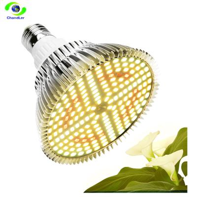 China Seed Starting 20W Led Grow Light Bulb For Indoor Plants Super Bright Sunlike Full Spectrum Office Grow Lamp for sale