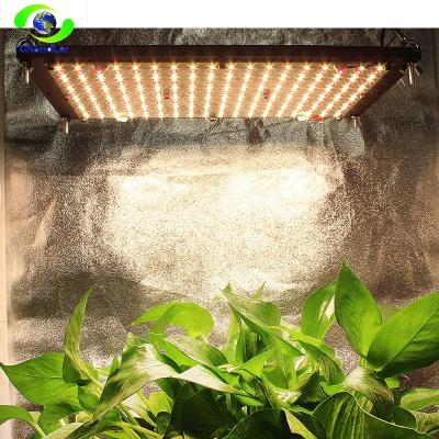 China Seed Starting Toplighting Greenhouse Grow Lamp Led Light For Indoor Plants Full Spectrum LED Grow Lights for sale