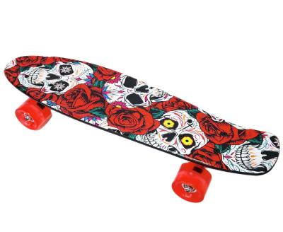 China Wholesale Price New Design Kid Deck Customize 22 Inch Complete Plastic Twist Mini Skateboard for sale