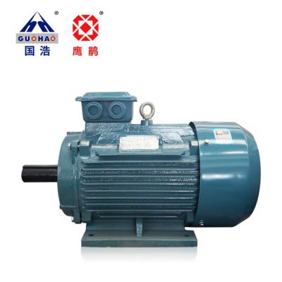 China Totally Enclosed Electric Motor Motor 160L-4 15KW Three Phase Asynchronous Motor for sale