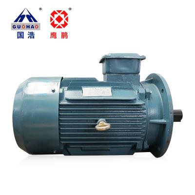 China Totally Enclosed Electric Motor Three Phase Motor YE2-160L-4 B5 15KW AC Asynchronous Motor for sale