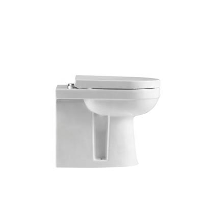 China Wholesale High Quality ANBI Double-Flow Cheap Price Back to Wall Bathroom Design Tank Less Toilet Bowl for sale