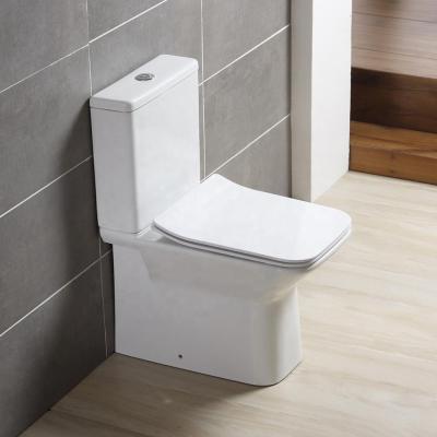 China P Trap CE Geberit WC Toilet Double-flush ANBI Easy Cleaning For Sale for sale