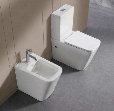 China Good Selling ANBI Double-flush Rimless Rectangular Ceramic Back To Wall Two Piece Toilet Bowl With Bathroom Accessories for sale