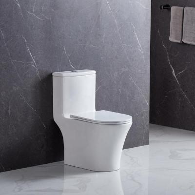 China Double-flush ANBI Recommended Unique One Piece Sanitary End-coupled WC Toilet Stylish For Bathroom for sale