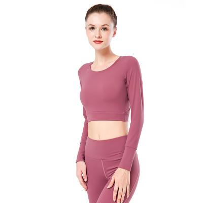 China Breathable Seamless Yoga Clothes Sports Shirts Top Long Sleeve Fitness Sportswear Lady Workout Yoga Clothes for sale