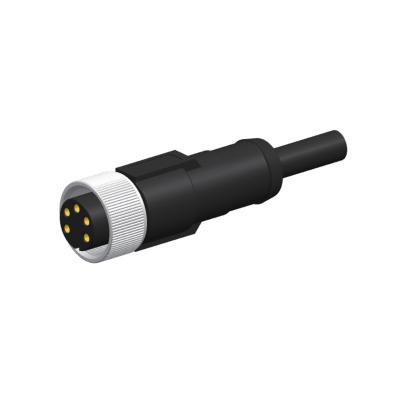 China conectores de cable mecánicos de 250V 5P hembra que moldea recta 5 Pin Connector de 7/8 pulgada en venta