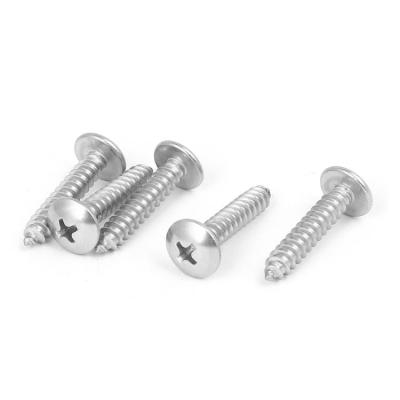 China High Quality Flat Titanium Torx Head Self Tapping Screw for sale