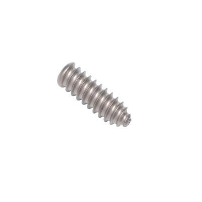 China Pan High Quality Titanium Screws Surgical M2 In Stock for sale