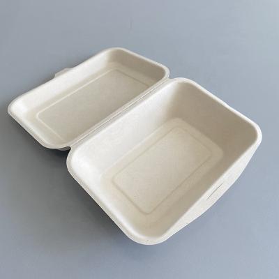 China Biodegradable Lunch Box For Kids Sugar Cane Disposable Paper Food Container Take Out Container Food Box 600ml for sale