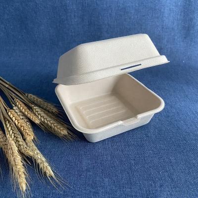 China Biodegradable Disposable Biodegradable Food Containers Bento Lunch Box Hamburger Packaging Box 6 Inch for sale