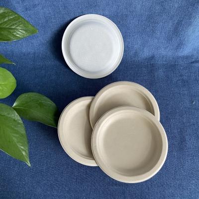 China Natural Color Sugarcane Bagasse Disposable Dishes Paper Plates 10