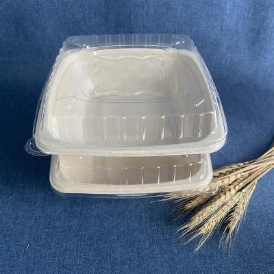 China Hot Selling Sugarcane Bagasse Pulp Disposable Paper Bowl Biodegradable Paper Bowl Salad Bowl with Lid for sale