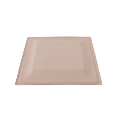 China Minimalist Hot Sale Rplates To Wedding Paper Serving Plates Disposable Custom Paper Plates for sale