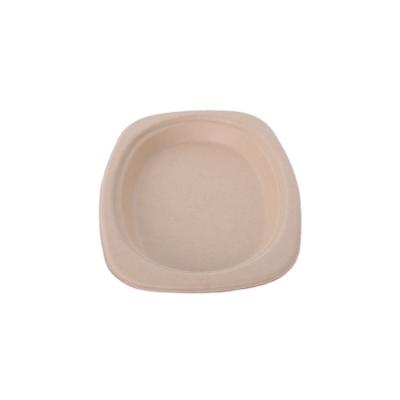 China Minimalist Wholesale Paper Plate Containers Paper Picnic Dish Set Disposable Paper Shaped Dishes for sale