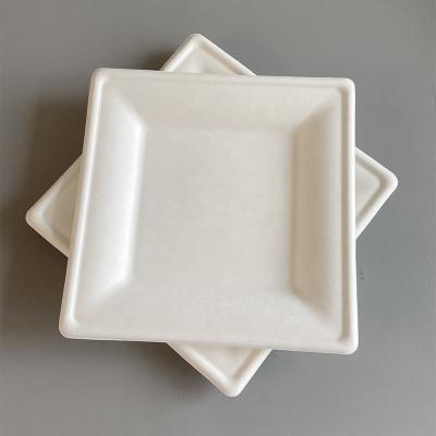 China 2022 6 8 10 Inch Disposable Durable Paper Plates Serving Trays Party Square Compostable Biodegradable Paper Plate Disposable Dinner Dishes for sale