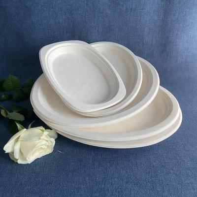 China Disposable Biodegradable Oval Party Sugarcane Bagasse Paper Pulp Dish Making Porcelain Food Safety Paper Plates for sale