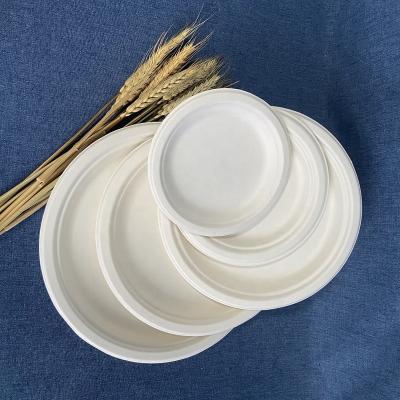 China Disposable Custom Dinner Plate 10 Inch Round Disposable Paper Plate Lunch Tray for sale