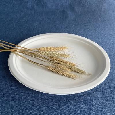 China Disposable made in china dishes dishes sets tableware sugar cane tableware 10 inch disposable oval paper plate for sale