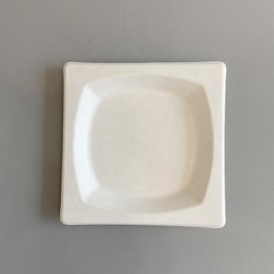 China Disposable Bagasse Food Trays Biodegradable Paper Plates Disposable Square Tray for sale