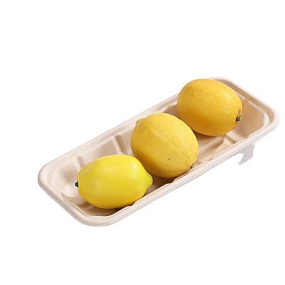 China Sustainable Modern Style Paper Picnic Tray Set Good Quality Custom Paper Food Trays for sale