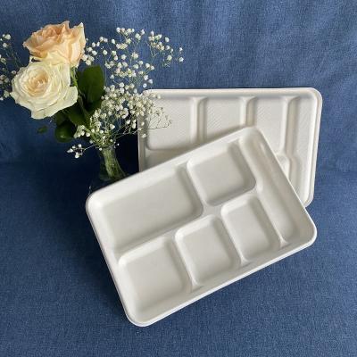 China Disposable Hot Selling Compostable Disposable Stores Divided Tray Restaurant Food Serving Tray for sale