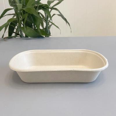 China Hot Sale Biodegradable Fast Food Salad Hamburger Container Box Take Out Food Containers Lunch Salad Meal Prep Storage Boxes for sale