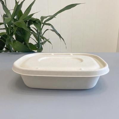 China Biodegradable 1100ml Disposable Food Containers With Lids Portable Bagasse Fruit Box Lunch Box for sale