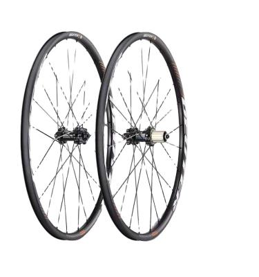 China Mountain Bikes Duote Deuter Sipelin Pull Flower Drum RM 22 Aluminum Alloy Bicycle Wheel Set Road Car Straight Disc Brake for sale