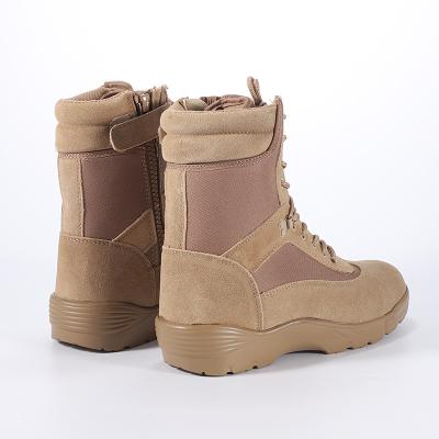 China New Arrival Durable Waterproof Ankle Mountaineering Boots Man Plus Size Unique Panama Jungle Boots for sale