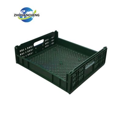 China New PP Compatible Plastic Mesh Professional Logistic Bread Crate 100% Food Turnover for sale