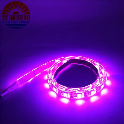 China Modern Waterproof FCC RGB LED Strip Light SMD5050 RGB Waterproof Strip DC12V Led Strip Diode Light Strips Lamp IR Lamp Flexible Remote Controller for sale