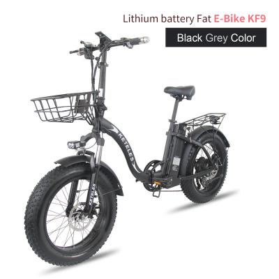 China Lady 1500W Motor 48V 13/15/18/20AH Battery Lion Fat Bike Electric Fat Bike 21 Tire Electric Bike Mountain Bike 20inch Bici for sale