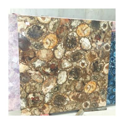 China Luxury Jade Fossil Wood Stone Slab Wood Countertops Petrified Wood Table Top for sale