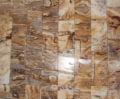 China Luxury/soft/classic gemstone semi precious picture decoration fossil stone wall panel for sale