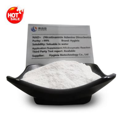 China Professional 99% Purity NAD Nicotinamide Adenine Dinucleotide Powder CAS 53-84-9 for sale