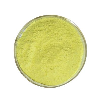 Cina 99% di quercetina pura di idrato in polvere Sophora japonica naturale Estratto CAS 6151-25-3 in vendita