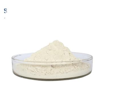 China Nattokinase Supplement CAS 133876-92-3 From Fermented Bacillus Natto for sale