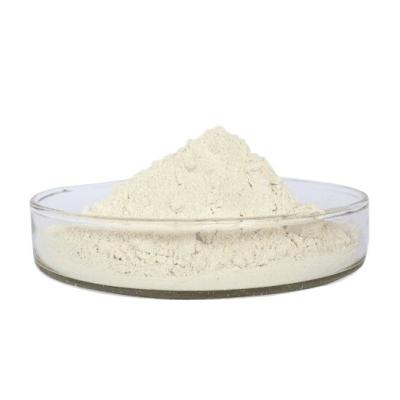 China 20000FU/G Nattokinase em pó extraído de bacilos de soja fermentados CAS 133876-92-3 à venda