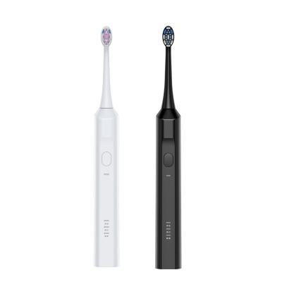 China Electric toothbrush Dupont bristle soft induction charging wholesale adult oral cleaning waterproof electric toothbrush B-020 for sale