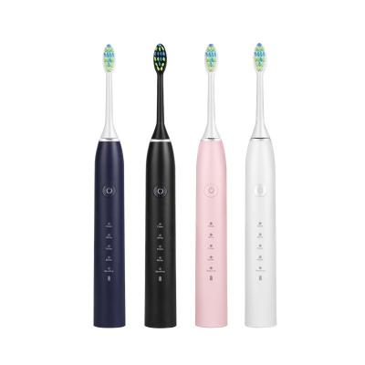 China China Wholesale Bristle USB Rechargeable Dupont Electric Toothbrush Couple Ultrasonic Gift B-028 for sale