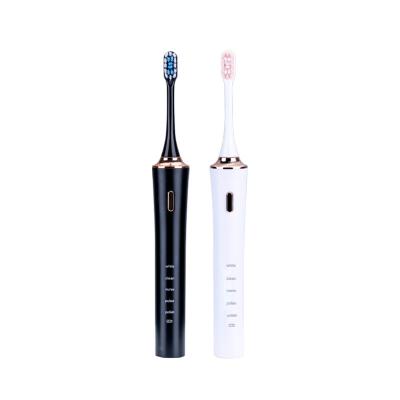 China Hot Sale Electric Toothbrush Dupont Bristle Household Toothbrush Ultrasonic Soft Group Purchase Gift B-030 for sale