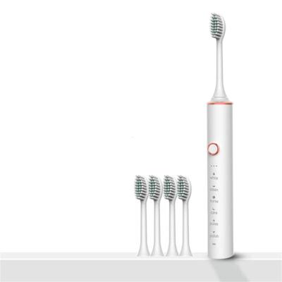 China Soft Electric Toothbrush Head B-029 Electric Toothbrush Replacement Brush Head Dupont Bristle Tooth Guard for sale