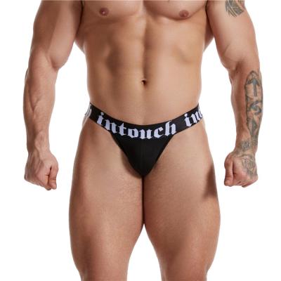 China Breathable Sexy Lace Men's Transparent Gay Briefs Underwear See Sexy Stretch Man Thong Panties Briefs For Homosexual for sale