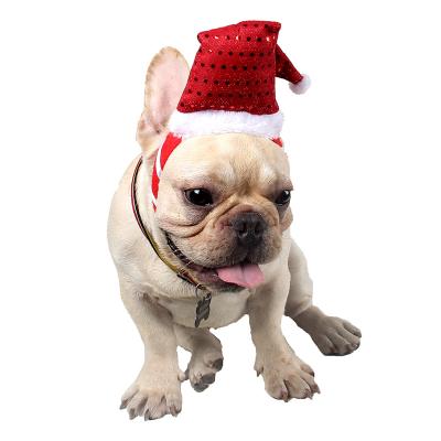 China Factory Sale Pet Teddy Accessories Headgear Christmas Dog Stocked Hot Circle for sale