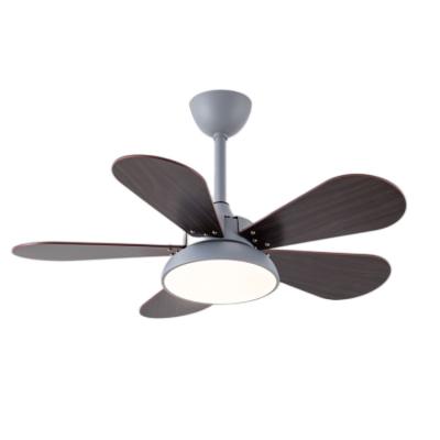 China With Light Led Ceiling Fan DC 24W With 5 Light Plywood Blades for sale