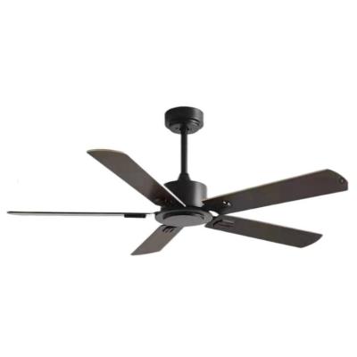 China Hot Selling Bldc Electric Modern Low Noise Pure Copper Blade Motor Stainless Steel Remote Control Ceiling Fan for sale