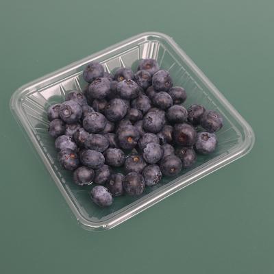 China Recycled Materials Pamper Transparent Fruit Packing Cartons Plastic Folding Clamshell Fruit Packing Salad Box for sale