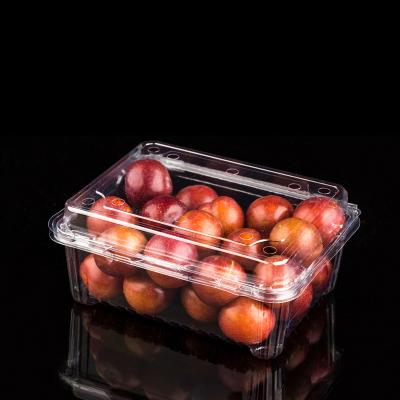 China Recycled Materials Clamshell Plastic Pet Salad 250ml Rectangle Transparent Packaging Disposable Container With Lid Fruit Packing Box for sale