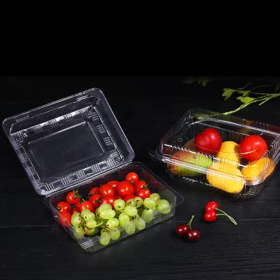 China Recycled Materials Clear Plastic PET Clamshell Cherry Fruit Plastic Packaging Box Tomatoes Container for sale